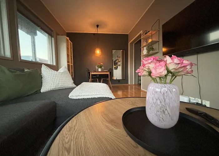 Sentrumsnaer Leilighet Midt I Tromso Sentrum