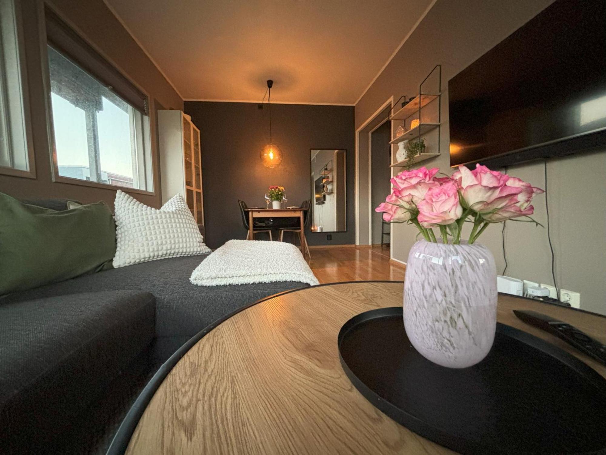 Sentrumsnaer Midt I Sentrum Apartment